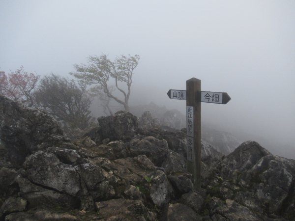 登山道